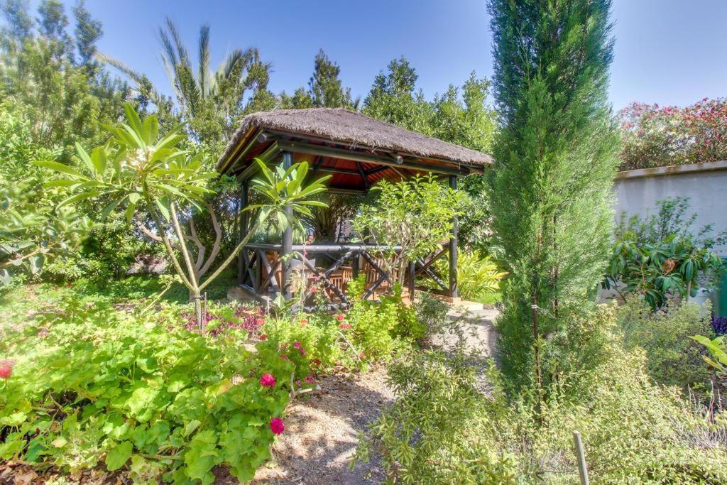 Villa Morera Arafo Exterior photo